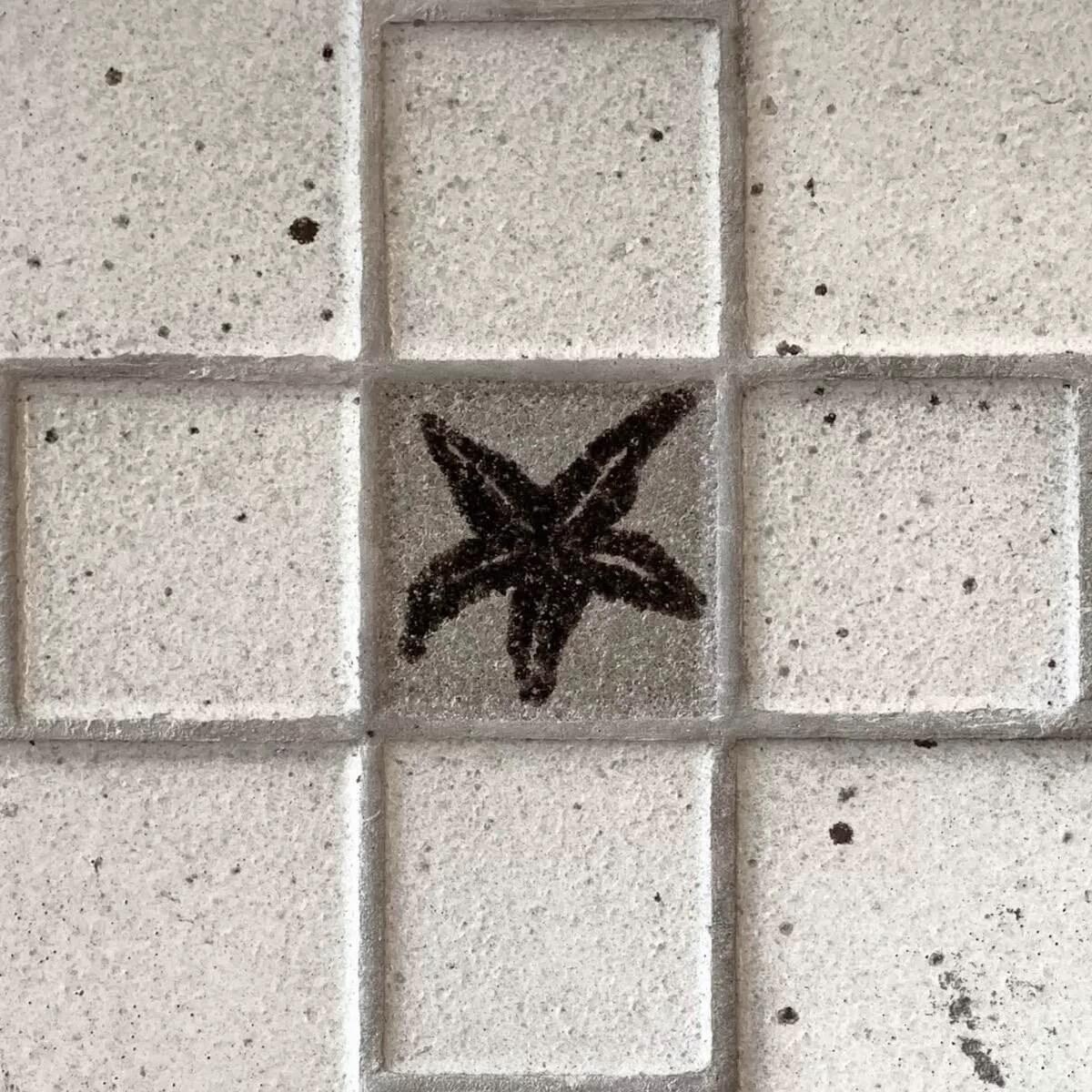 【背景图】分享‹𝟹₊˚⊹♡米色|咖色|文艺|优雅|精致|蕾丝|建筑|审美积累 