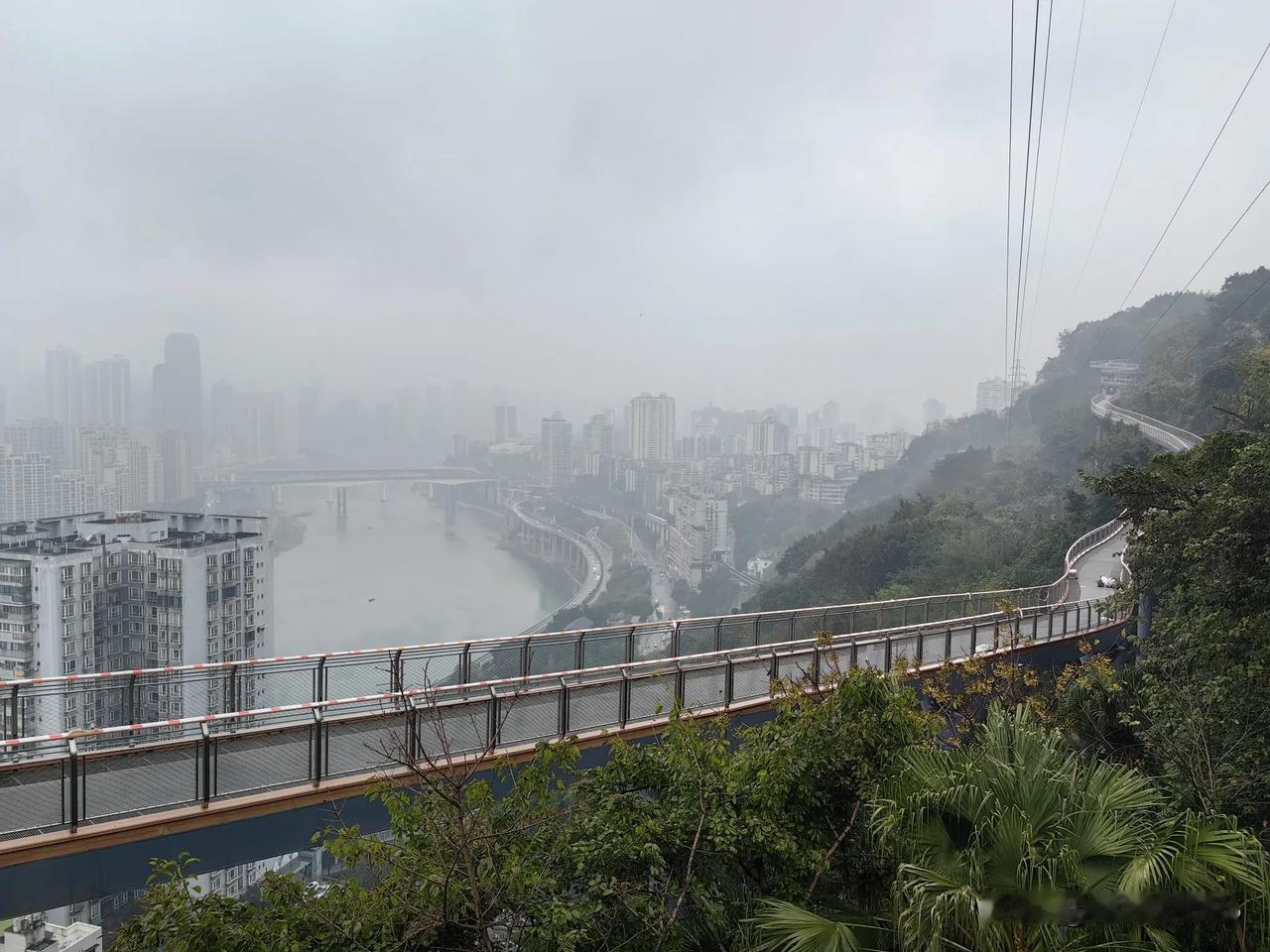 今早去鹅岭开会，特意提前出发，留出半小时的时间，撑着伞冒雨进佛图关公园南门逛了一