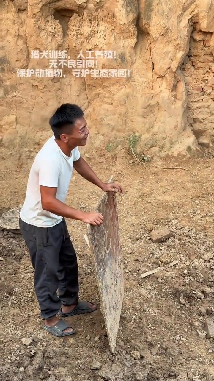 猎犬训练，人工养殖！无不良引向！保护动植物，守护生态家园！
猎犬训练，人工养殖！