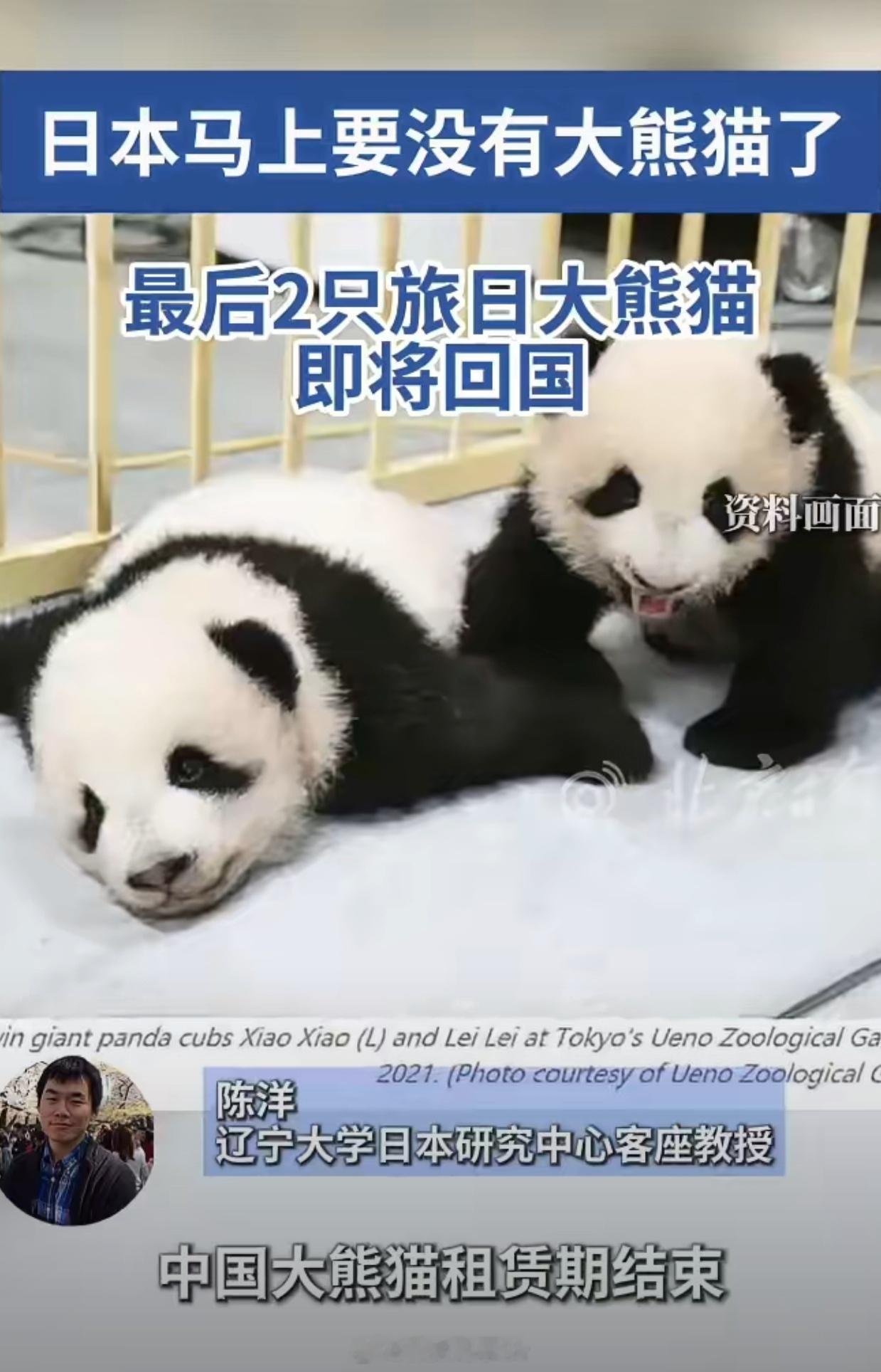 赶紧带回来让国宝们回家吧～不要再把它们送出去了🐼 