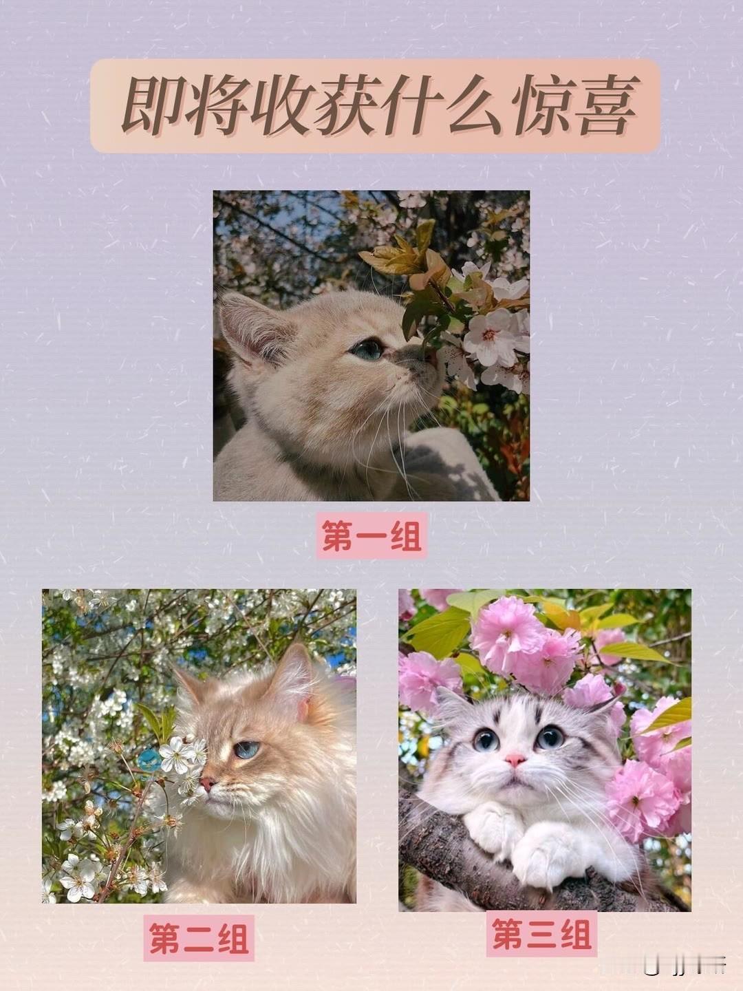 品鉴25万级智己LS8旗舰实力即将收获什么惊喜