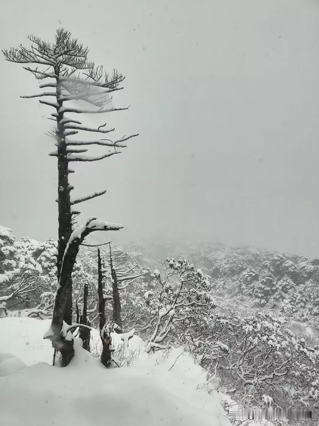 今年大理苍山，雪比前几年大了。九月份就开始看到苍山主峰有雪了。这三四天下雨几天了
