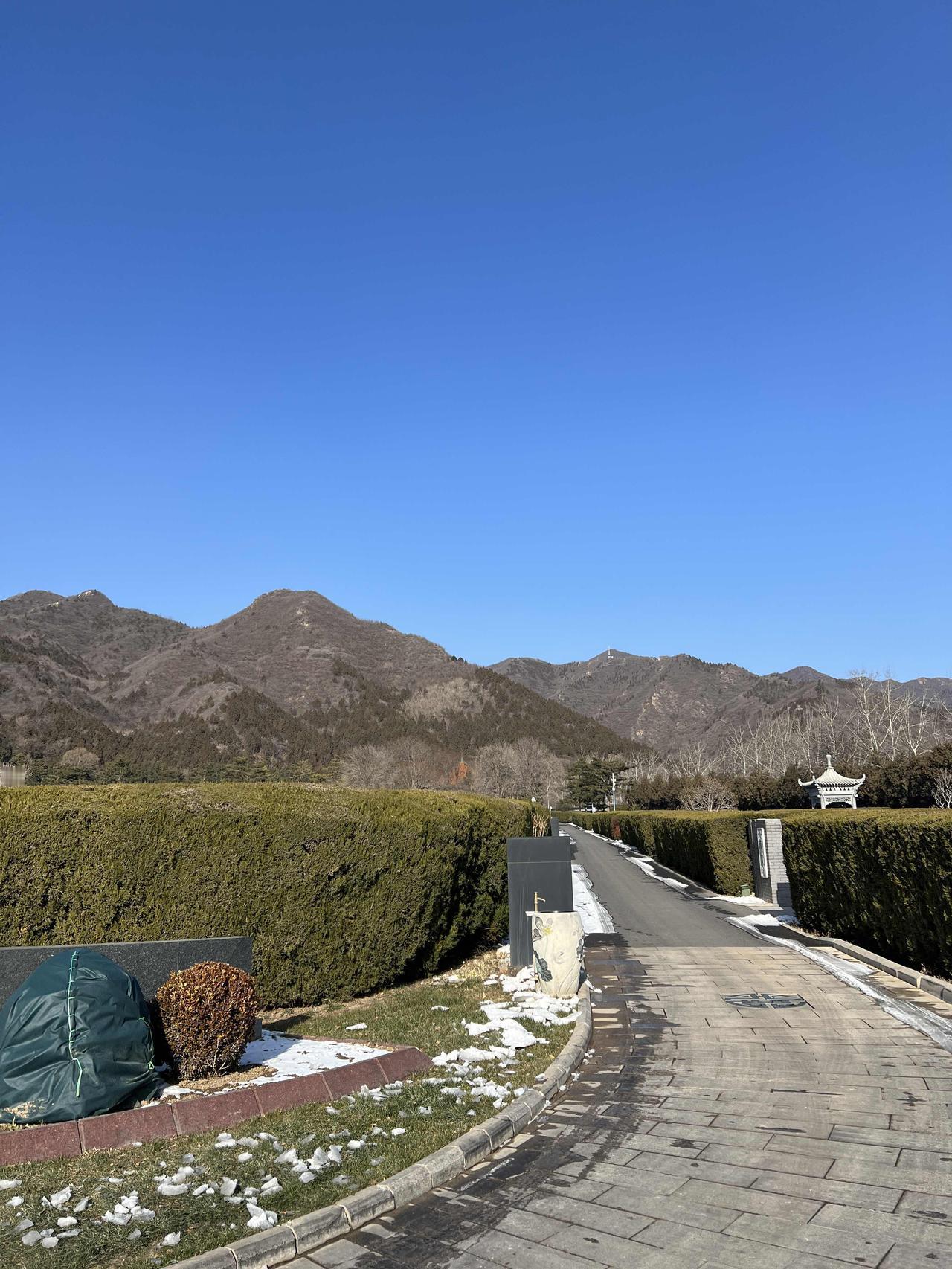 三年。遗憾不曾离去。如果能相信马斯克对世界的揣测是正确的，可能会释怀一些。

“