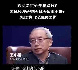 这才是真正的专家！王小鲁说：我不赞成所谓的刺激消费，消费怎么能是刺激起来的。消费
