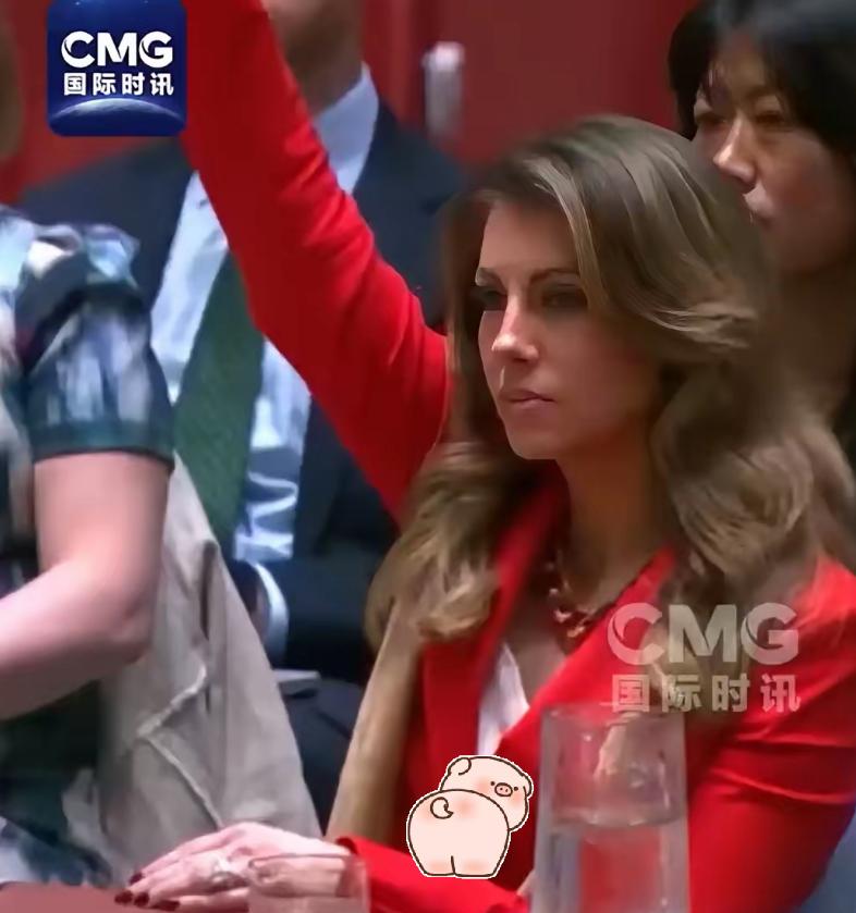 记住这张脸！就是这个穿红衣的女人，刚刚在联合国，亲手否决了加沙的“生路”！ 在安