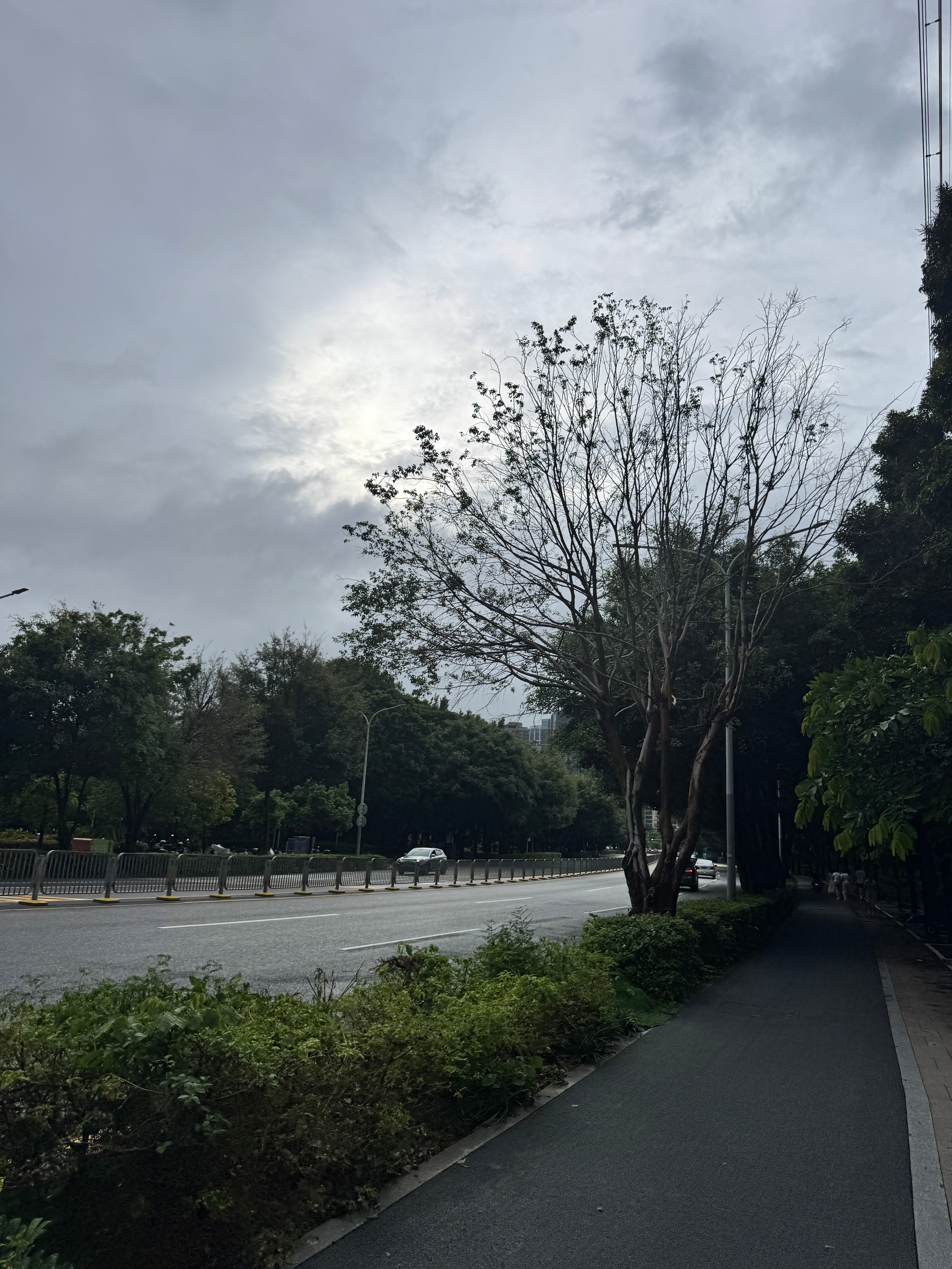 台风应该是慢慢减弱了。这会儿终于没怎么下雨了。不想做饭，出去觅食。明天长鑫上市，