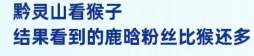 我才看到这个
