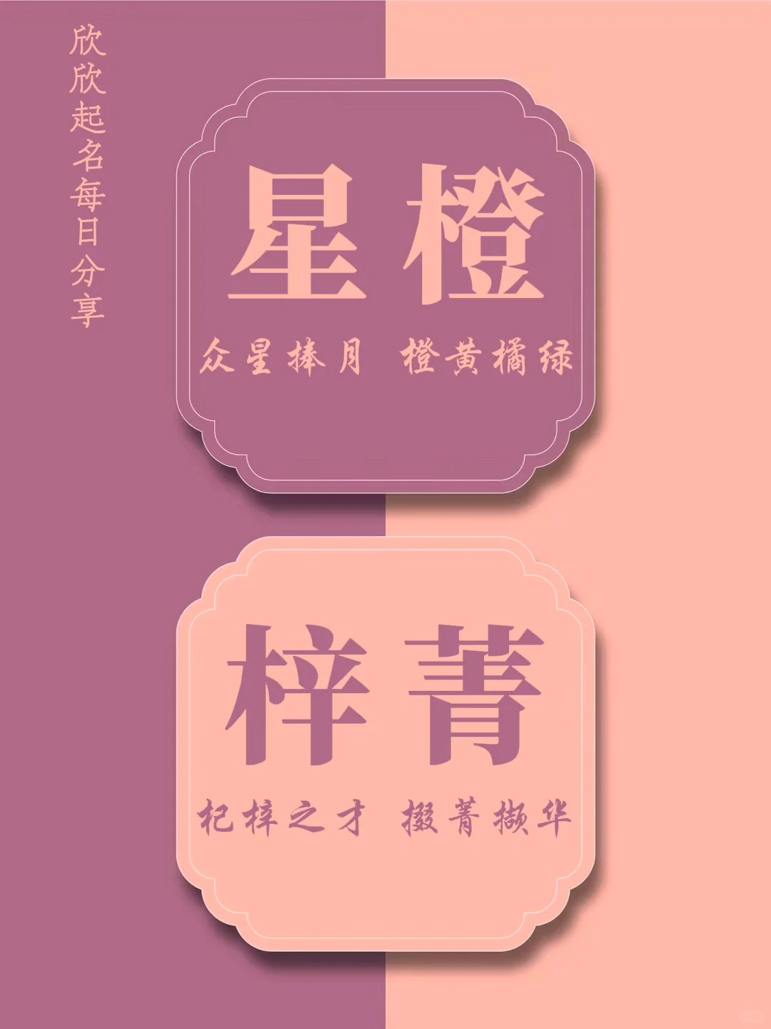 全家一票通过的女孩名