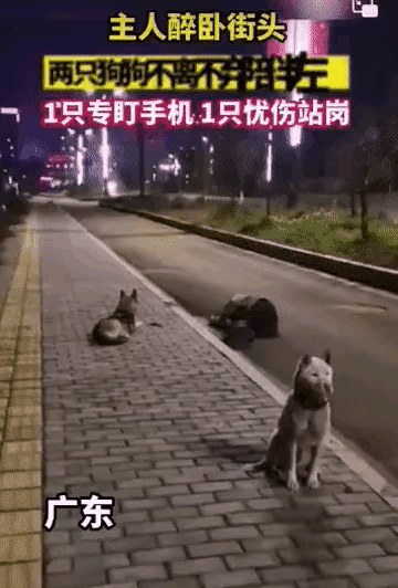 今年中秋节那天，广东一个中年男子，是一间公司的高层管理人员，那天公司领导安排聚餐