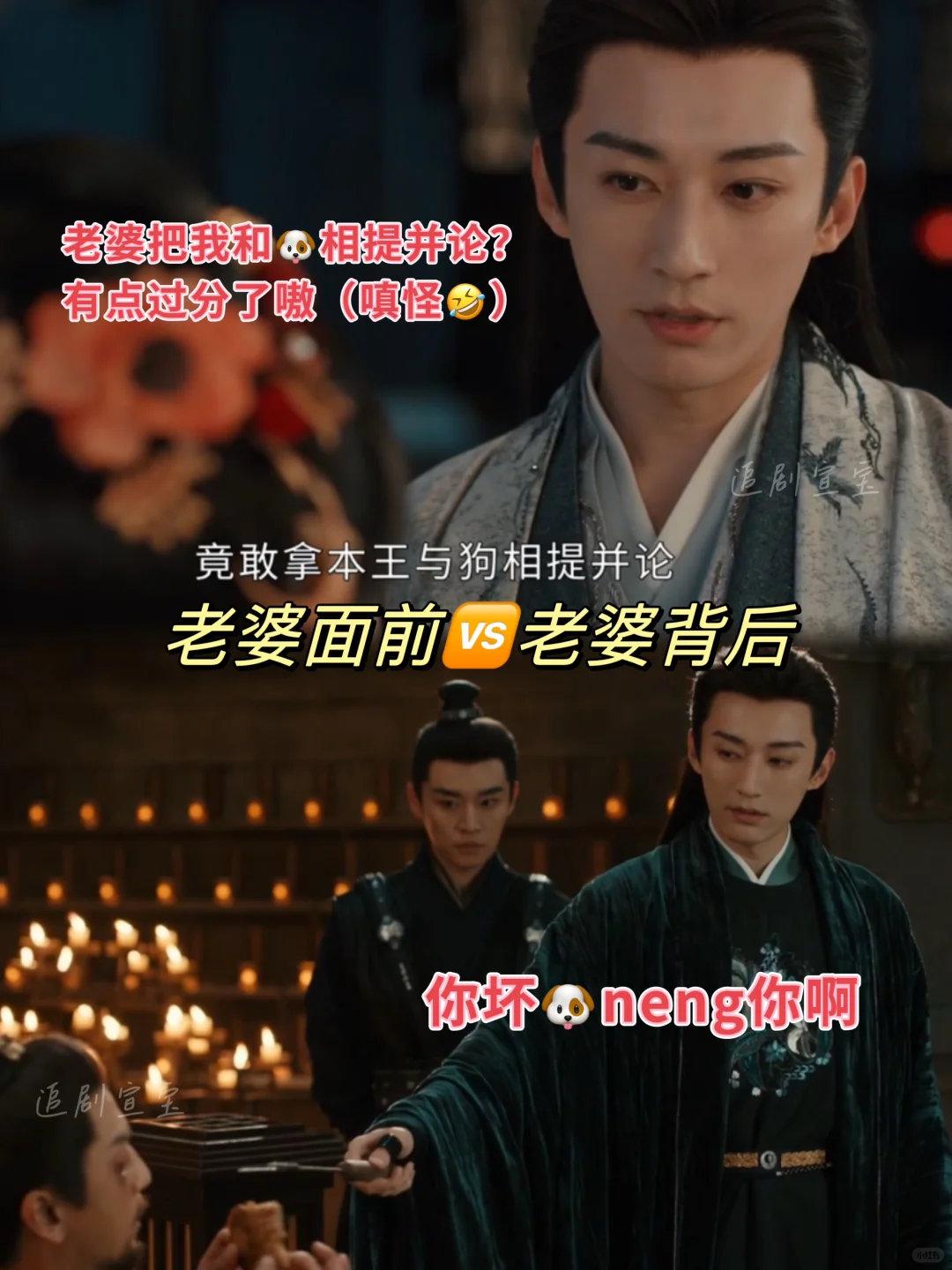🆘大型训夫现场❗️哈哈哈哈哈哈哈❗️