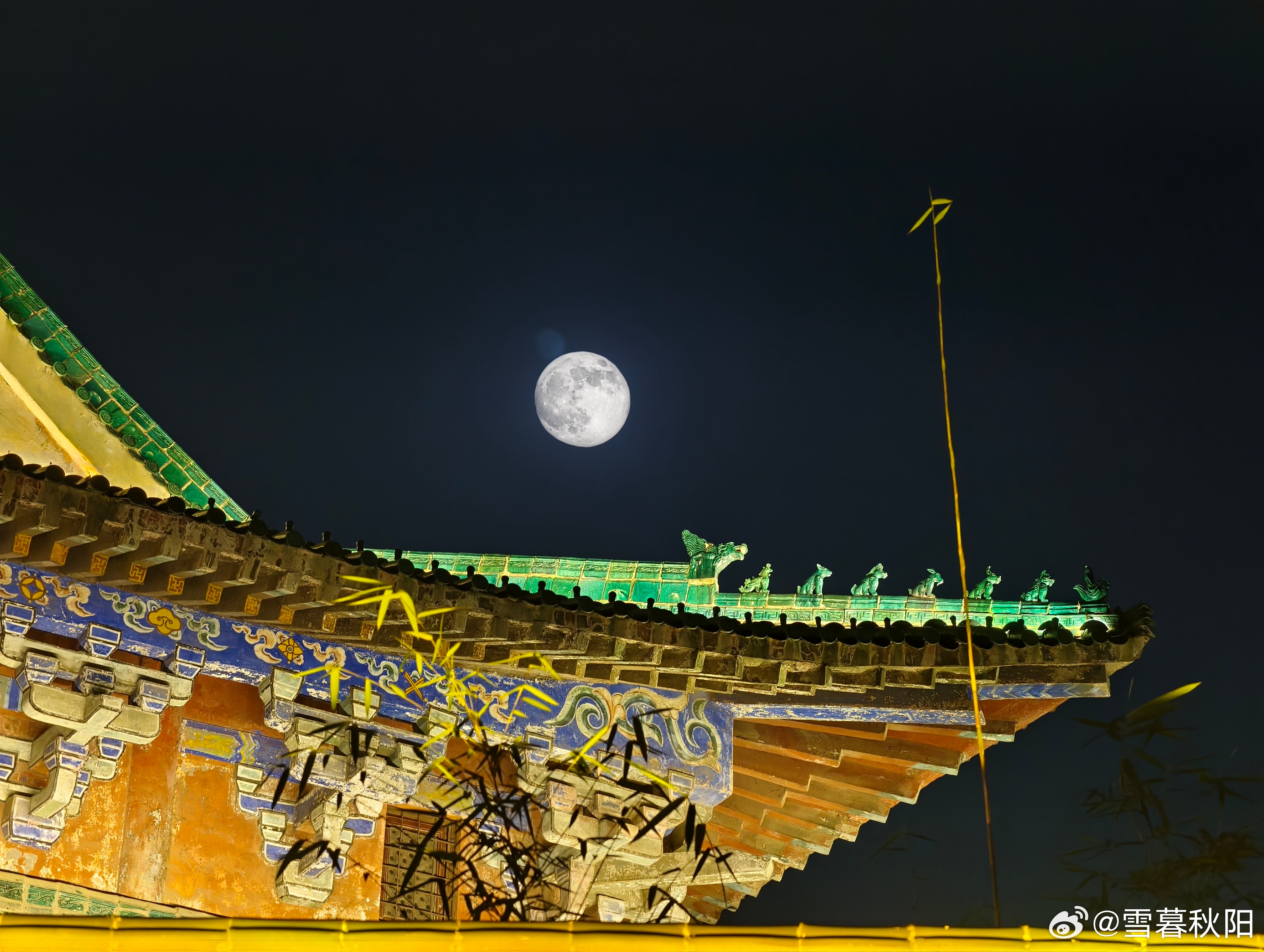 写给2026年的自己 2026.7.30.星期四，最近隐睾手术扎堆，各种隐睾，腹