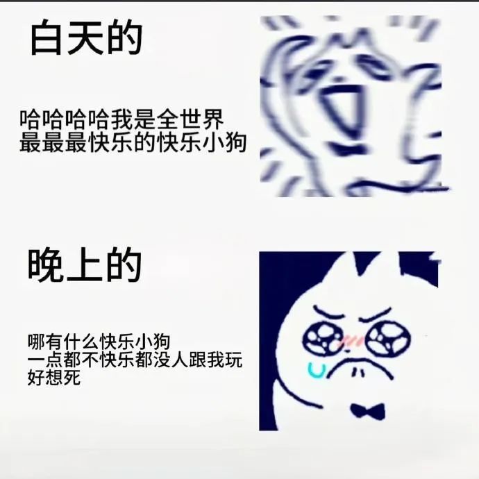 快乐小狗 ​​​