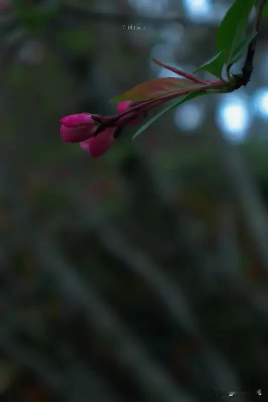 暮春
雨透过南窗，正一点点滴碎这残春时节。听那燕语，从深深的画檐里传来，好似在诉