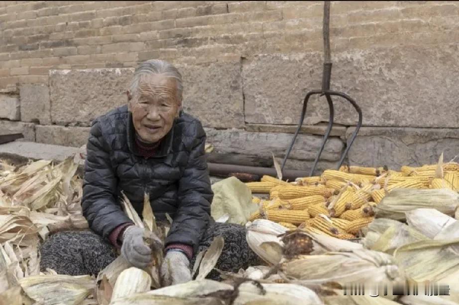 我的邻居奶奶，昨晚去世了，81岁！ 
她三个女儿都是远嫁，老伴走后，她就一个人与