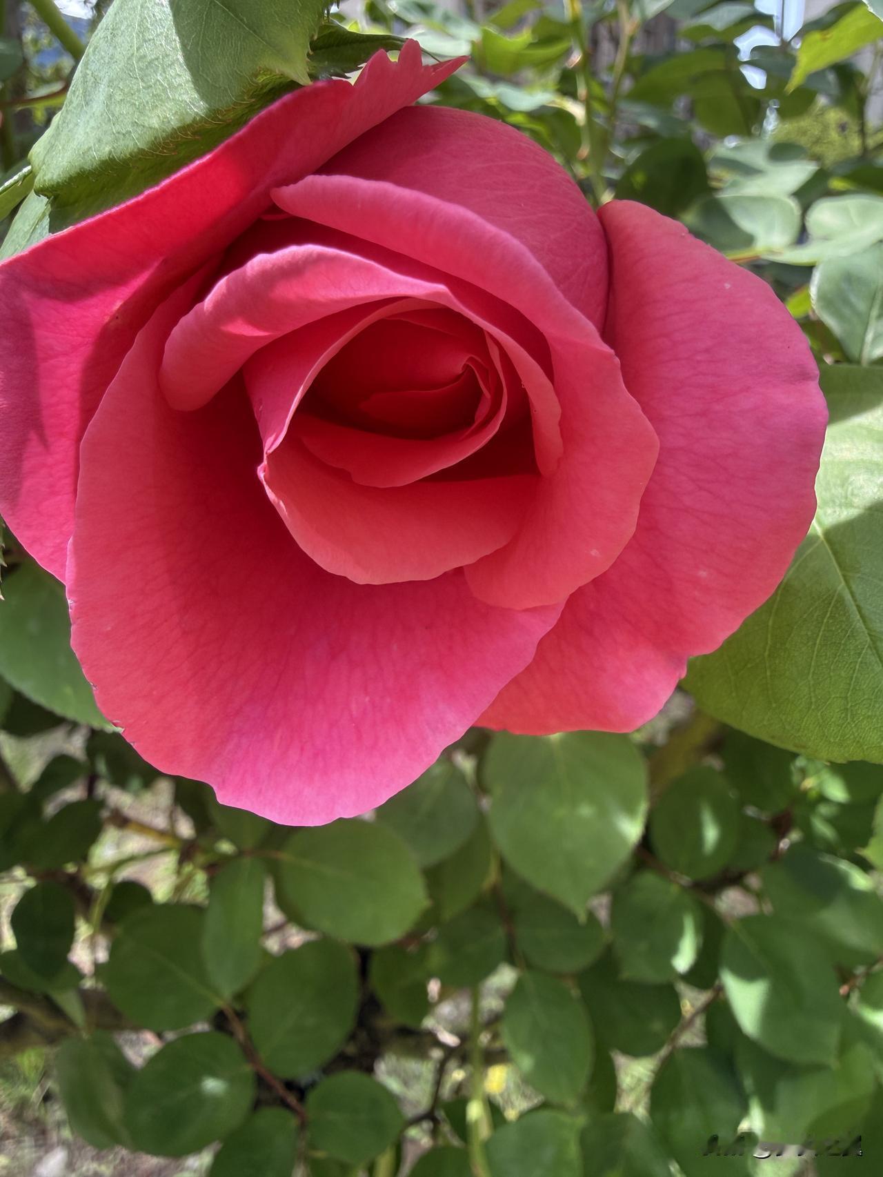 【小对联】
上：借鉴；
下：……？