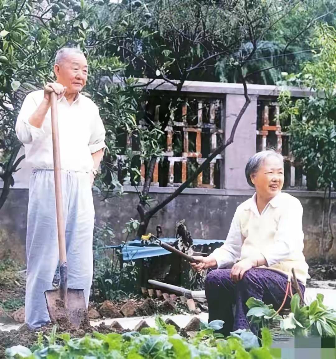 这张照片特别动人——老革命家李尔重离休后，和夫人宋晓菲在自家小院种菜，一身布衣、