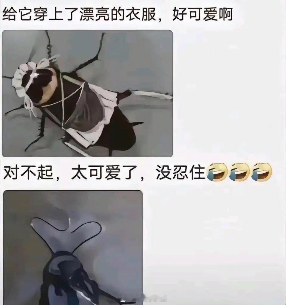 啊这…… ​​​