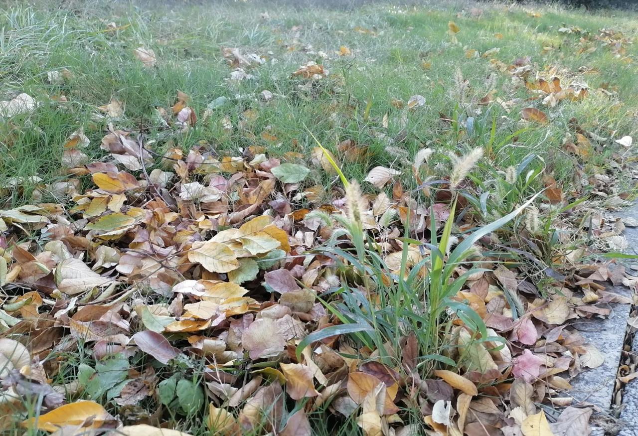 冬日生活打卡季