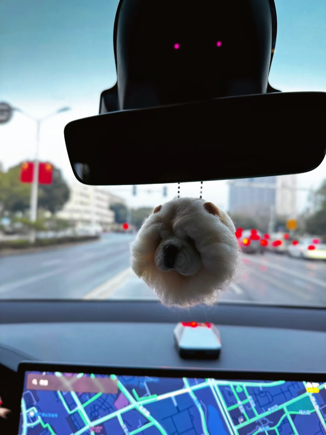 我和我的毛茸茸通勤搭子～