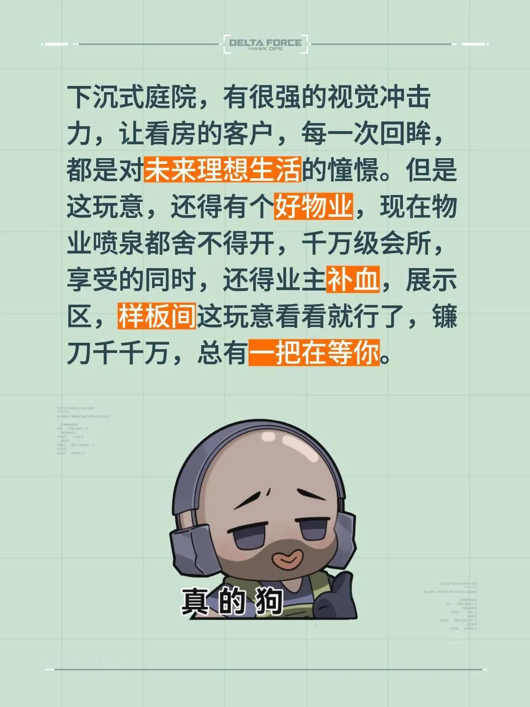 理想与现实的碰撞：奋斗的代价