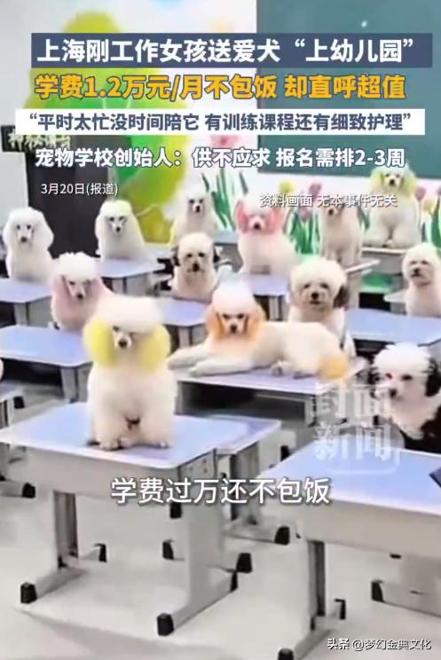 上海宠物幼儿园月费1.2万还不包饭？打工人看完沉默了…
 
刚刷到个离谱新闻：上