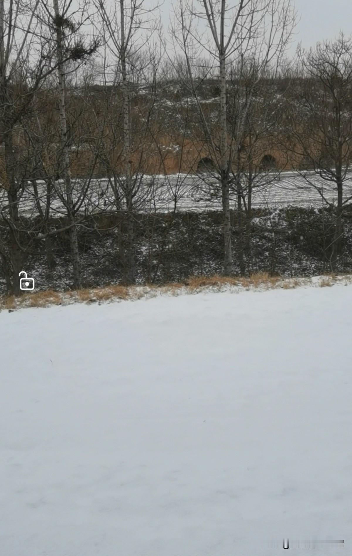 今儿出门撞见了今年的第一场雪，站在路边随手拍了这段画面。你看眼前这片雪地，薄薄一