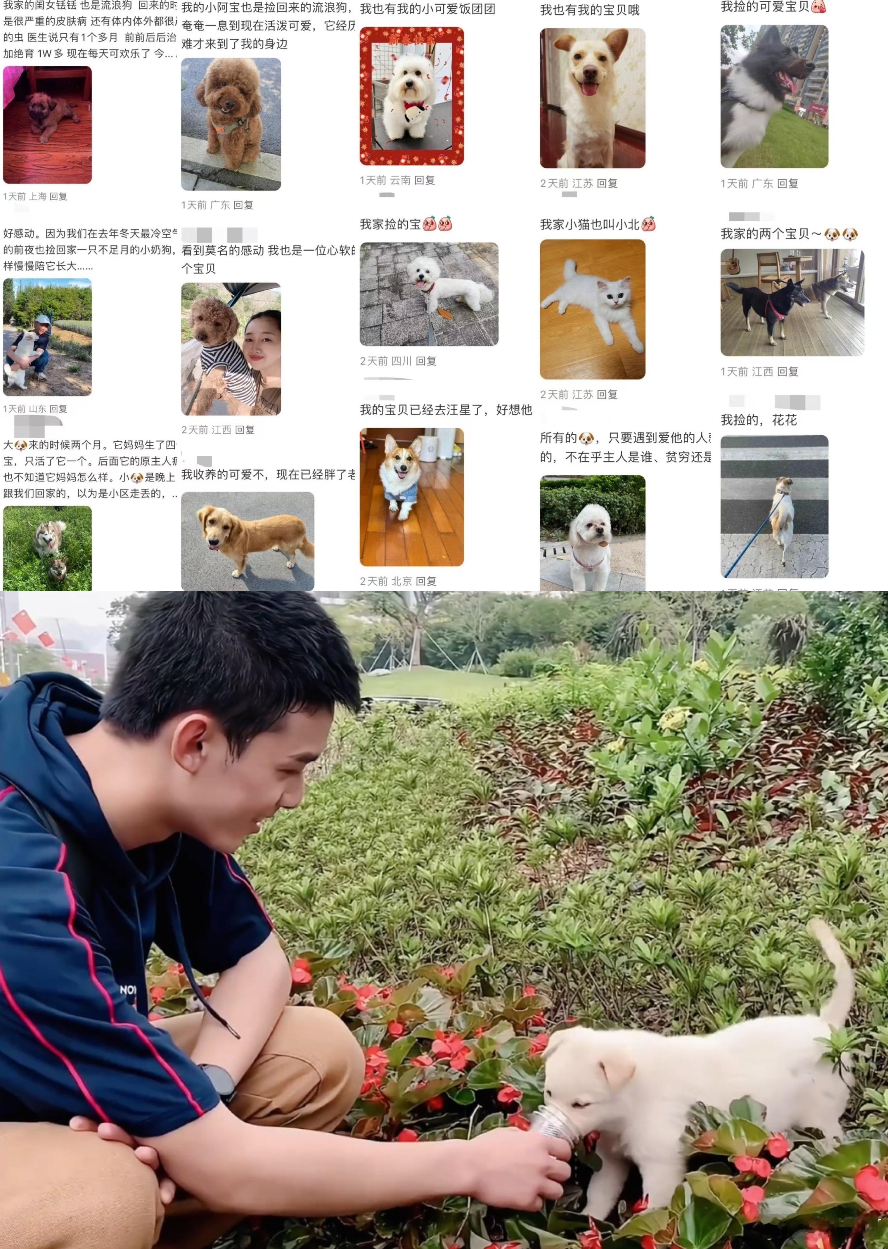 #吴磊真的有好好养大小北#看着小北和吴磊的五年我真的要落泪了😭😭2019年的