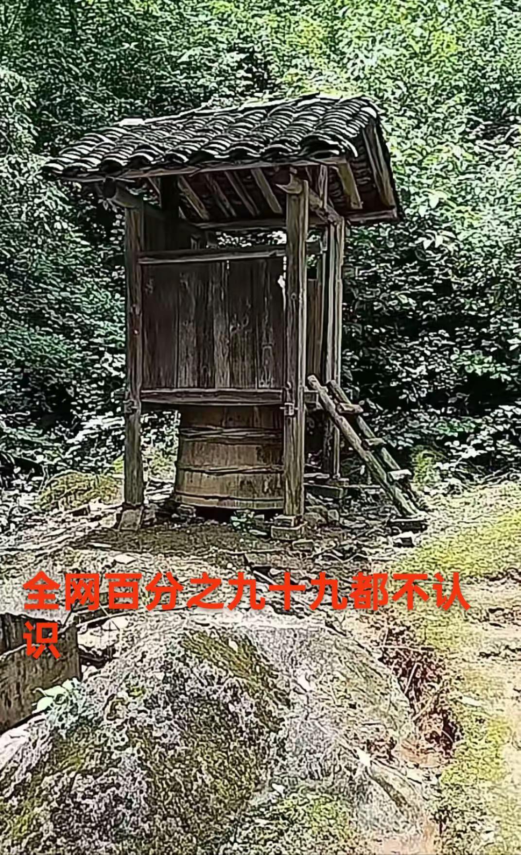 这个是什么东西？全网百分之九十九的人都不。野生药材