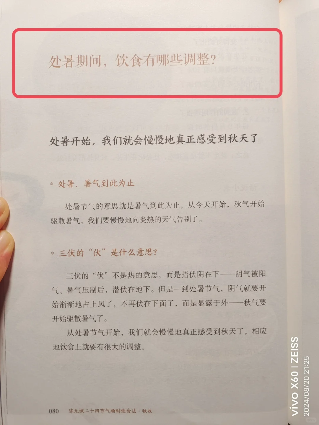 陈允斌老师——处暑节气，养身体小知识