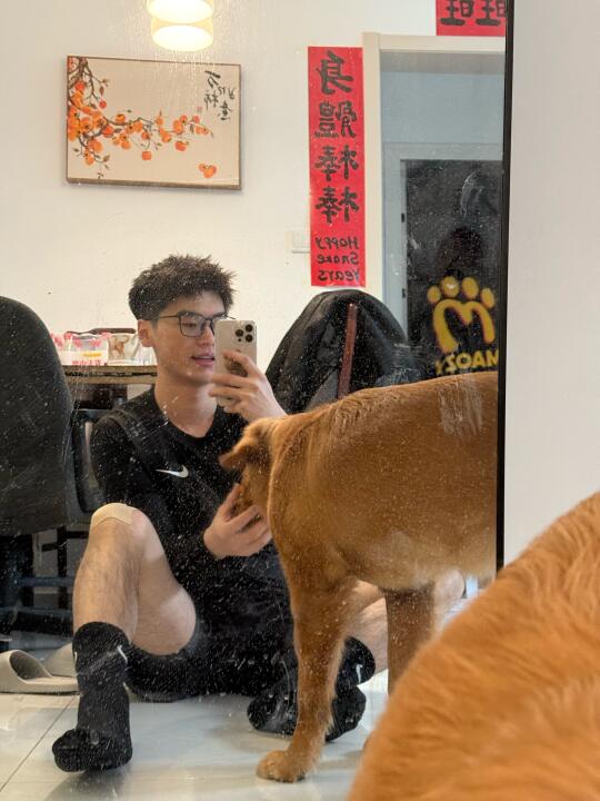 谁会不喜欢小狗