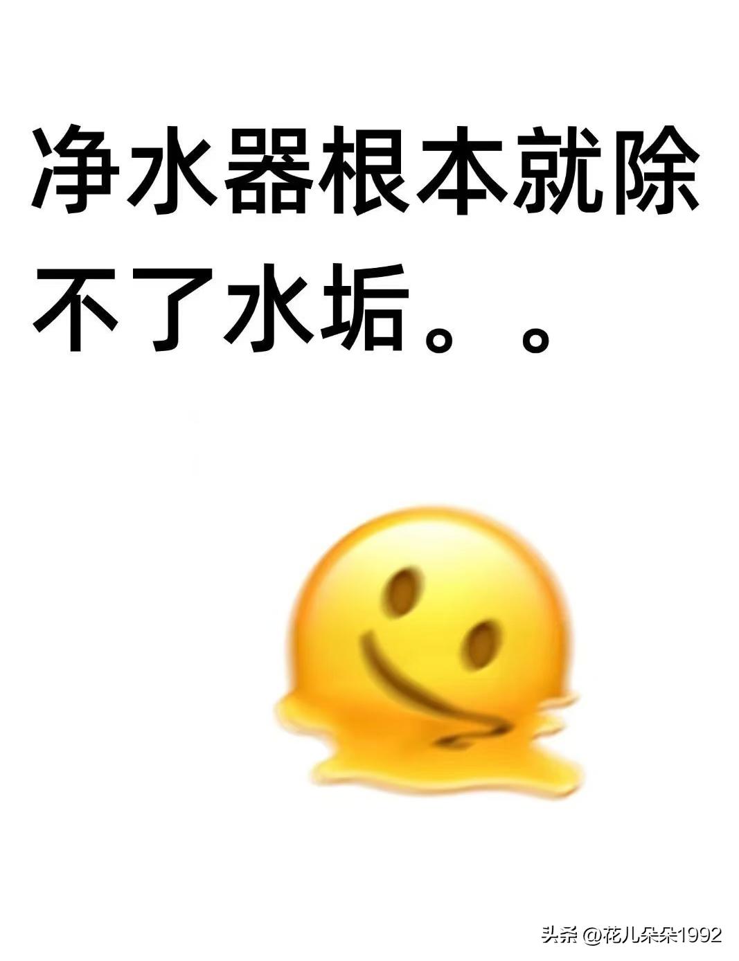 净水器根本就去不了水垢
真的服了自己，当初为了除水垢买净水器，现在越用越后悔。