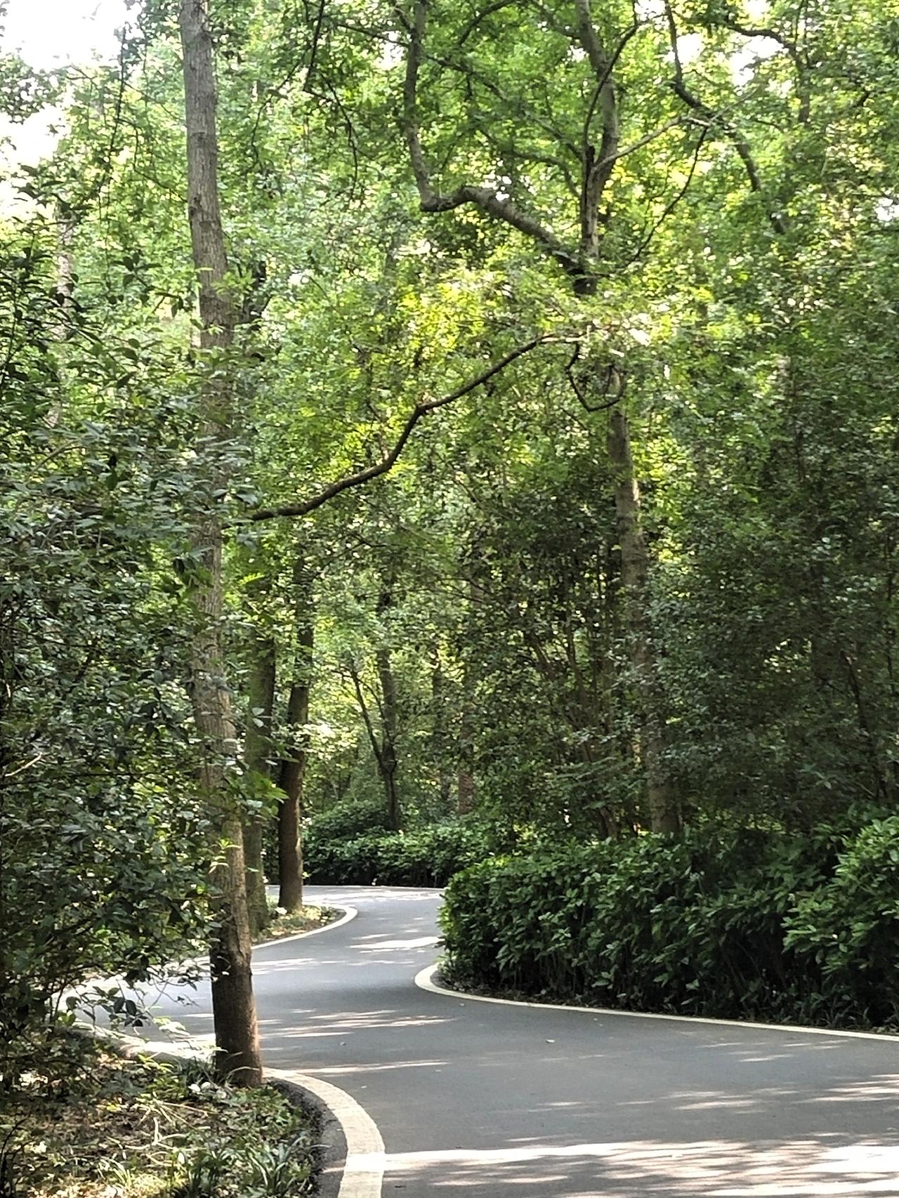 今天发了个疯，在南京中山陵风景区暴走了快两万步，汗流浃背人都累瘫了。

主要是看