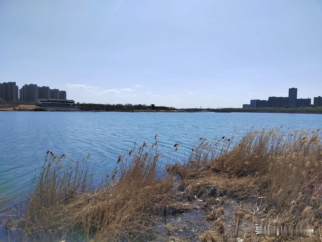 街头摄影分享鹤壁春日图。