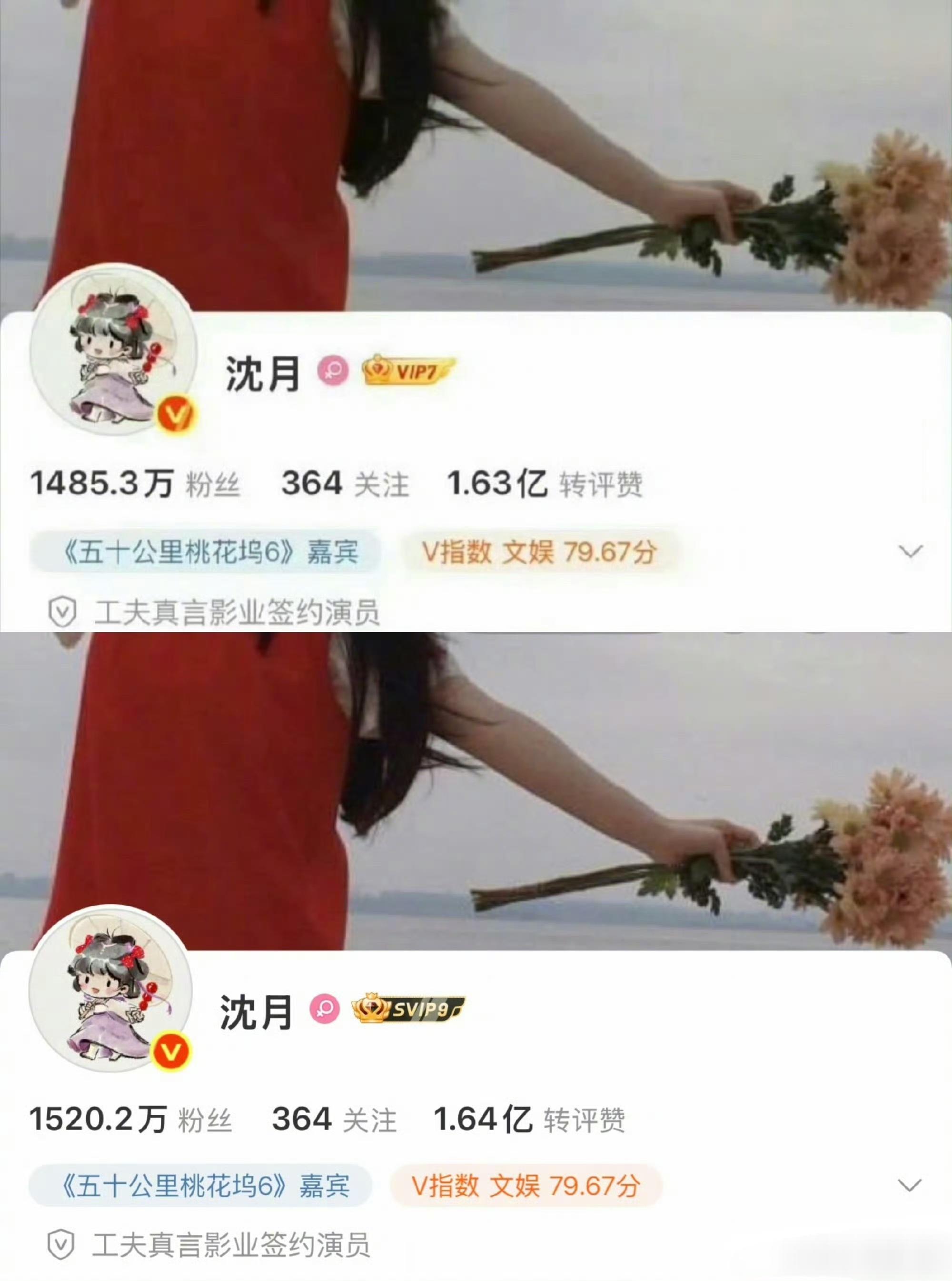 这几天王鹤棣掉了20万粉，沈月涨了55万粉王鹤棣掉粉，沈月涨粉超55万，王鹤棣不