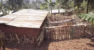 一名来自非洲的 71 岁男子与世隔绝地生活了 55 年，以避免与任何女...