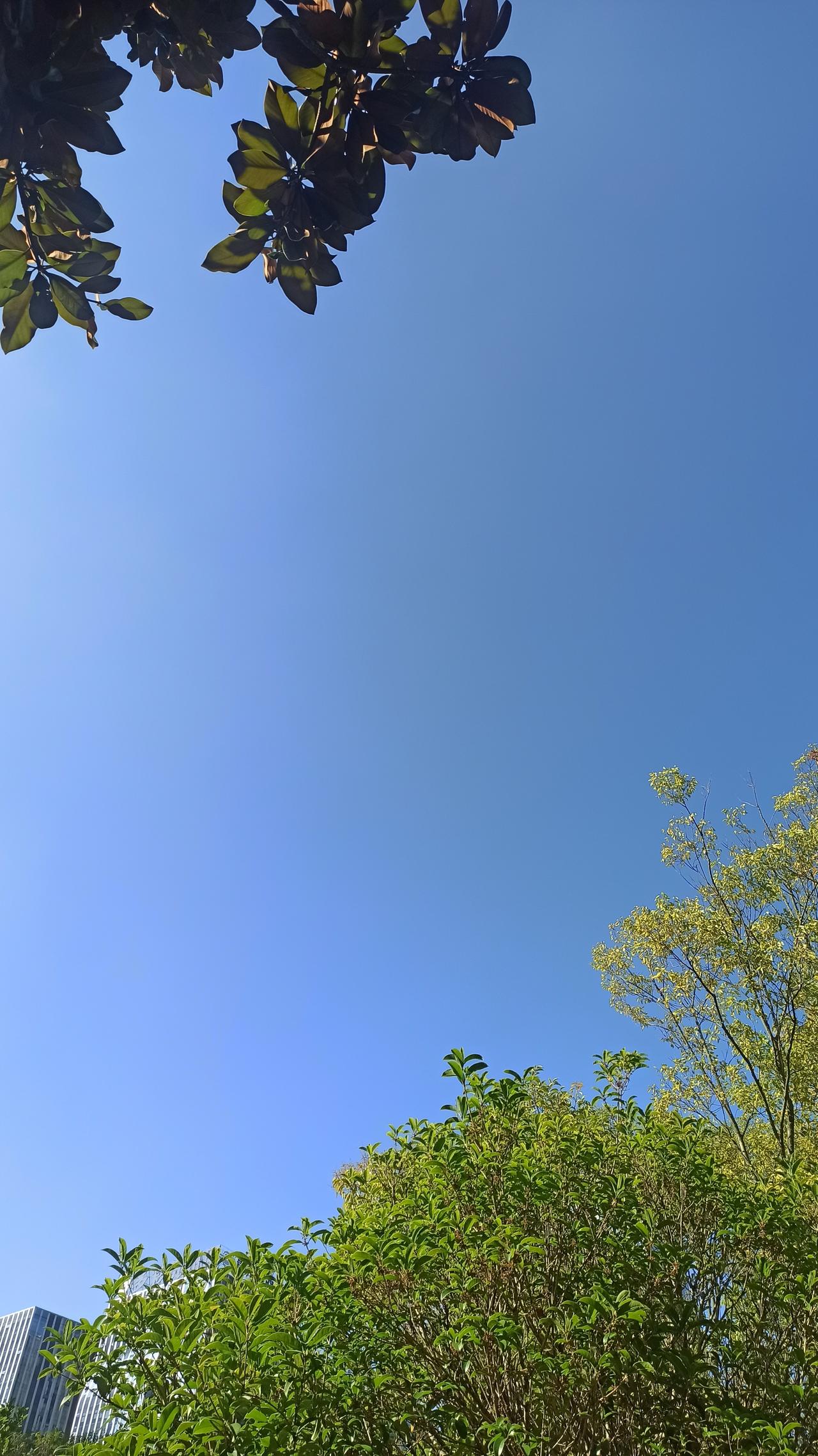 这就是我们的秋天，传说中的多彩贵州，醉美多彩贵州深秋的天空。深蓝色的天就像一面没