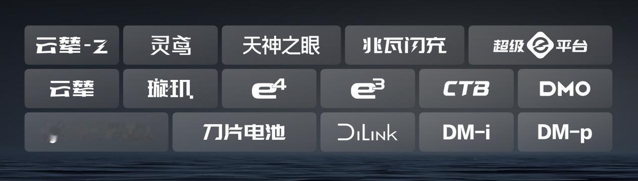 最近比亚迪的复购率真是让人刮目相看，居然达到了30.55%，在汽车行业中遥遥领先