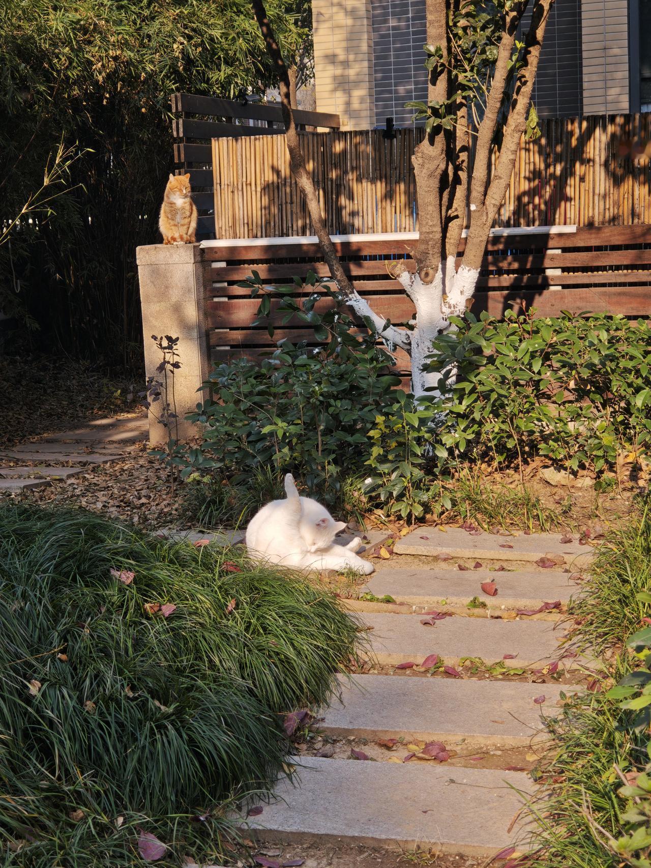 上班的时候每天坐班车去单位，一天有一半时间不在家，自己不需要做饭，工作内容是做研