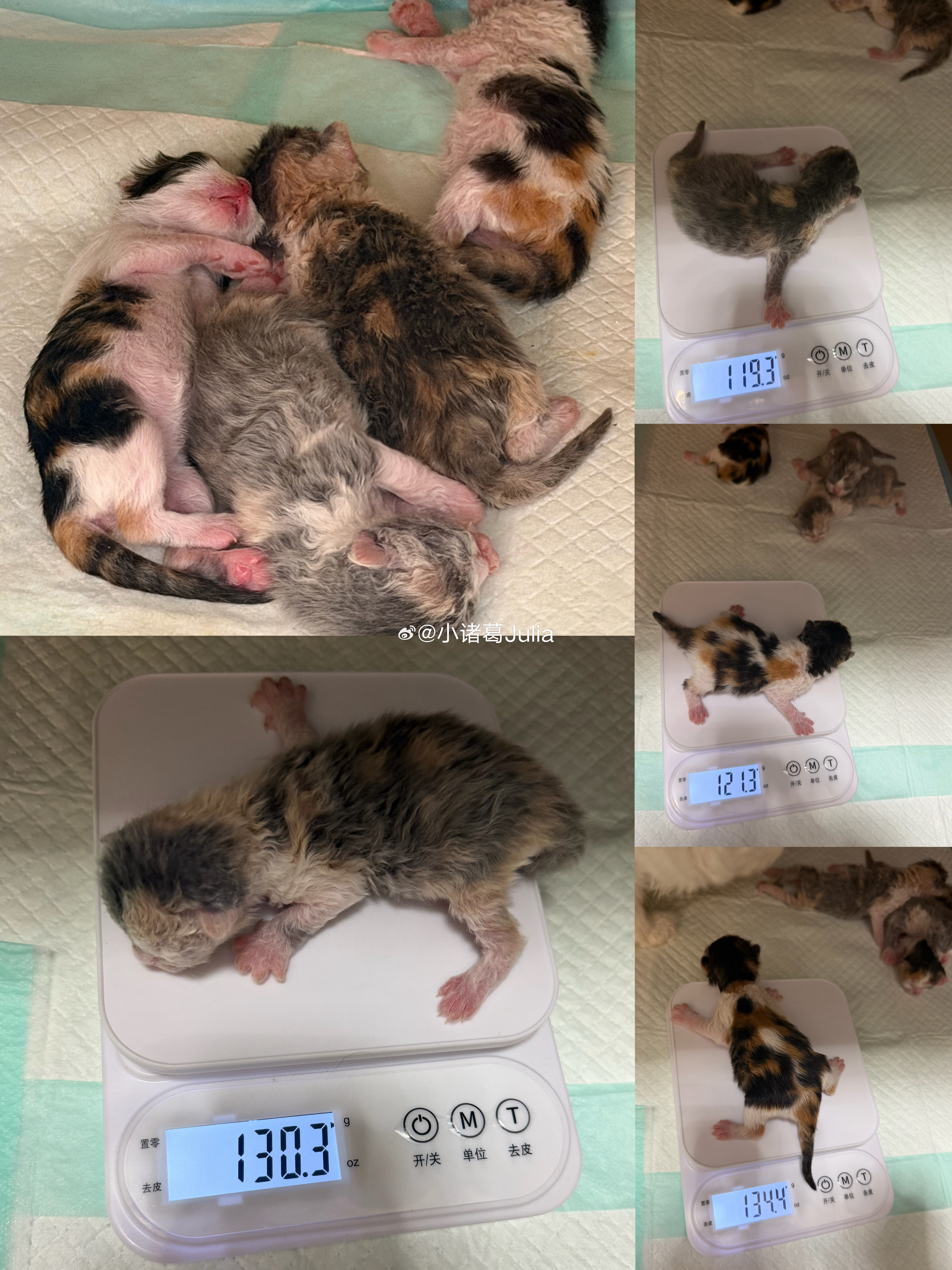 我好棒 