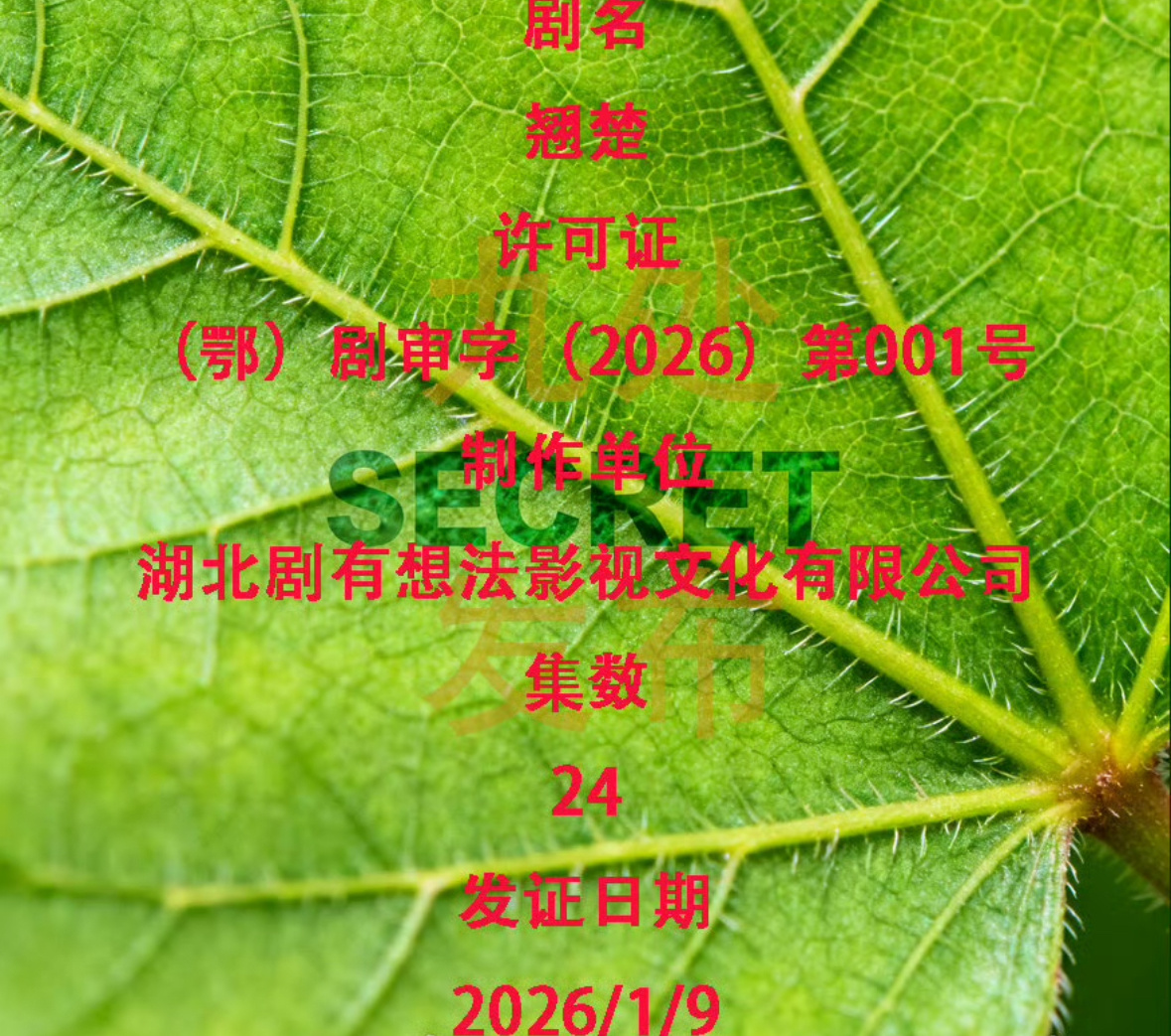 📣陈都灵 周翊然翘楚下证了！谁要追这部剧？ 