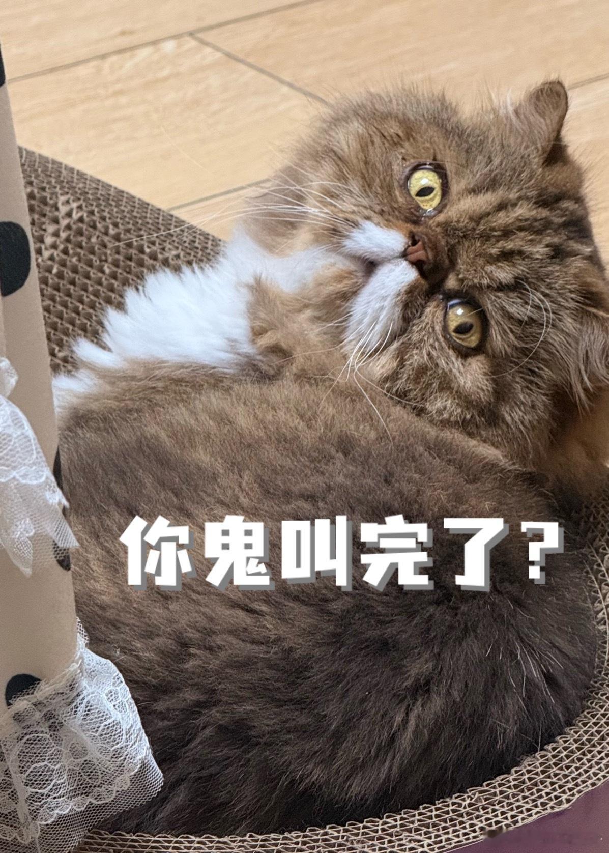 CV魏长歌  刚直播完伸个懒腰他就这么看着我周末快乐