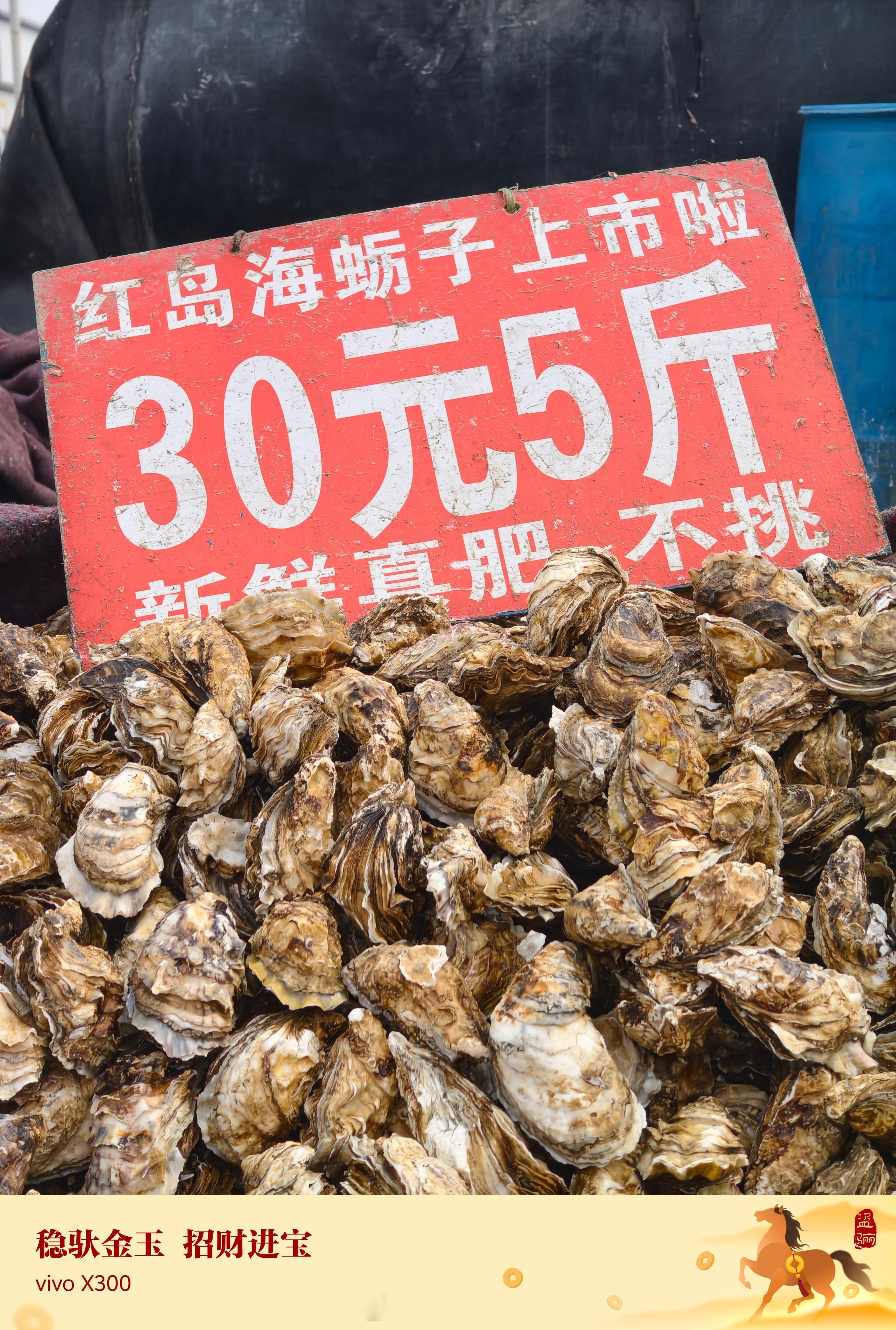 换上上vivo的新春限定水印来赶个大集提前感受一下年味儿你们都采购年货了吗？ 