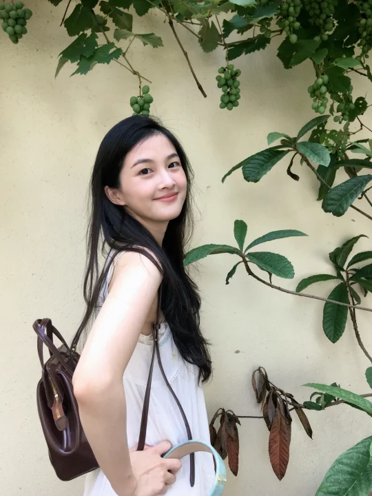 安福路下的葡萄藤