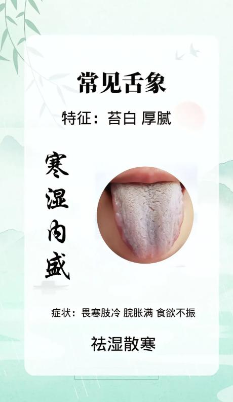舌象看体质：寒湿、阴虚、脾虚，一眼分清