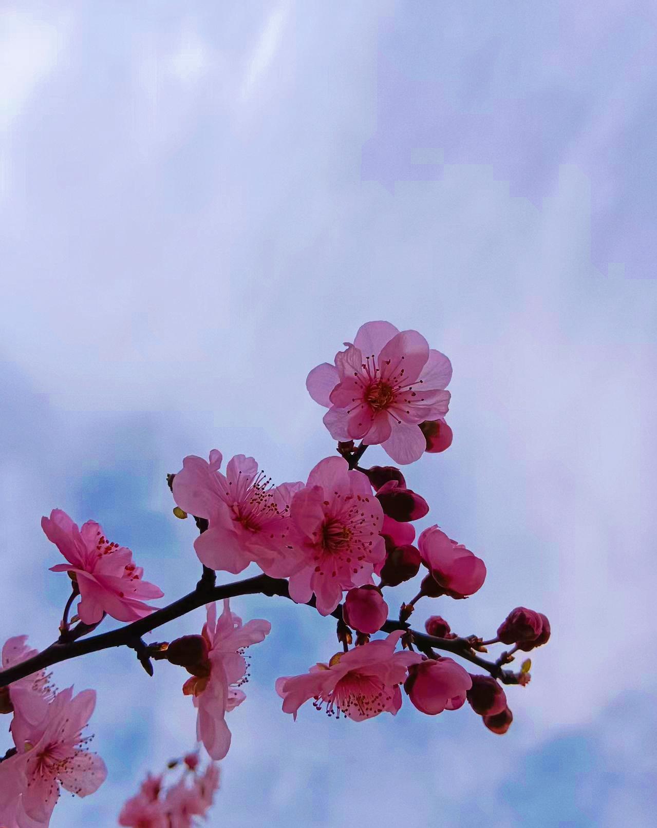 理发用方言怎么说哈哈哈哈哈！我们这叫“推头”