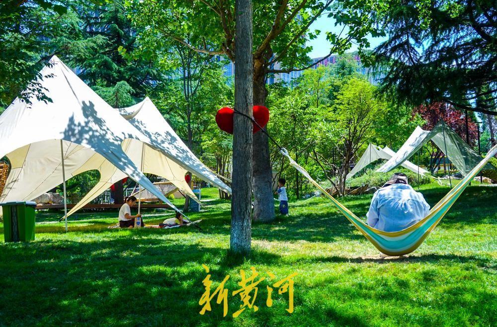 6月22日，在济南奥体中心网球馆南侧的开放式草坪，经过整体景观提升与共享绿地开放