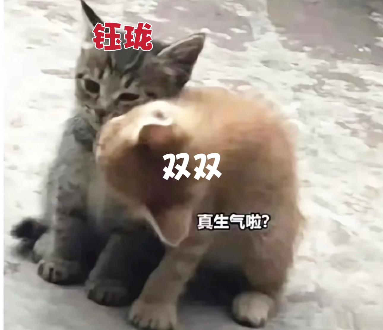 功夫女足张小斐迪丽热巴从小好到大张小斐迪丽热巴姐妹情又刀又甜青梅竹马的足球梦，摔