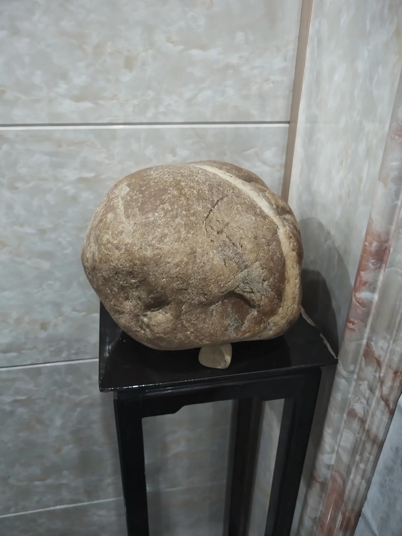 我收藏的奇石上有只灵动而神奇的狗，它的姿态栩栩如生，敬请各位奇石爱好者前来鉴赏交