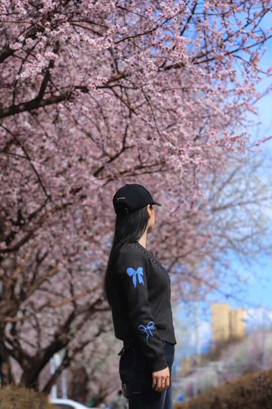 乌鲁木齐马路上好多花呀
