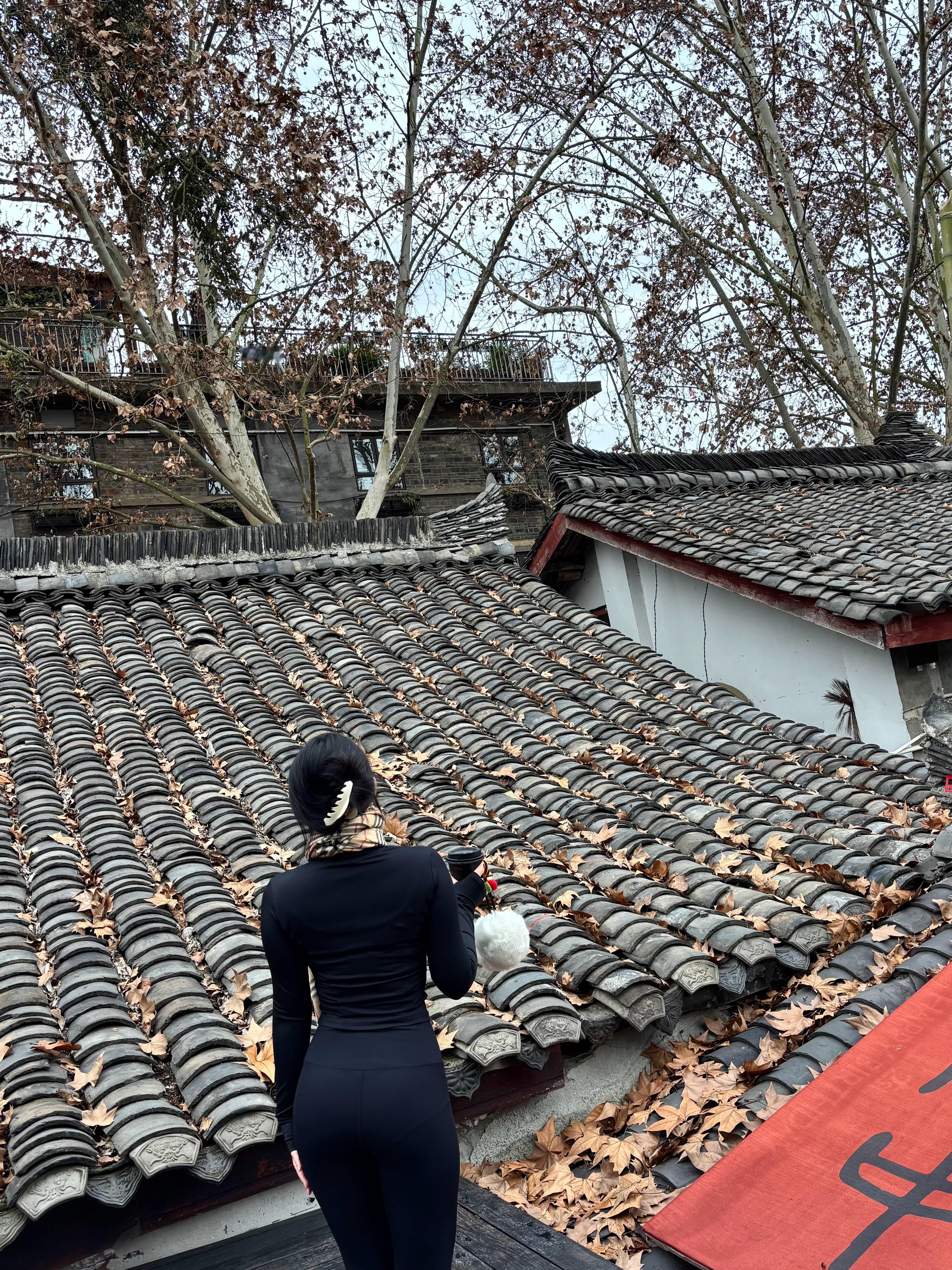 等我挥霍完自由，再向生活低头。  